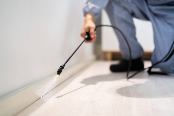 Bed Bug Pre-Treatment Preparation Assessment in Reedley