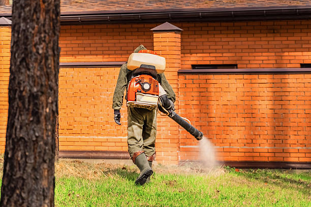 Bed Bug Clearance Verification and Documentation in Reedley